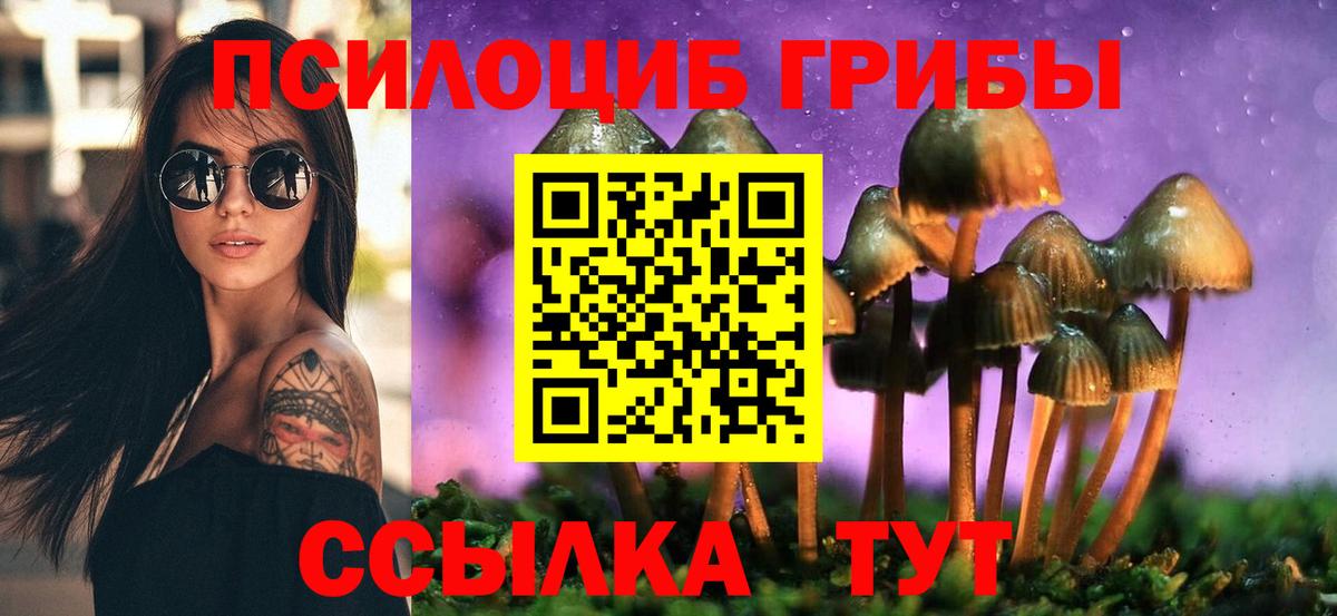 Елабуга  Галлюциногенные грибы прущие грибы  Вход с VPN 